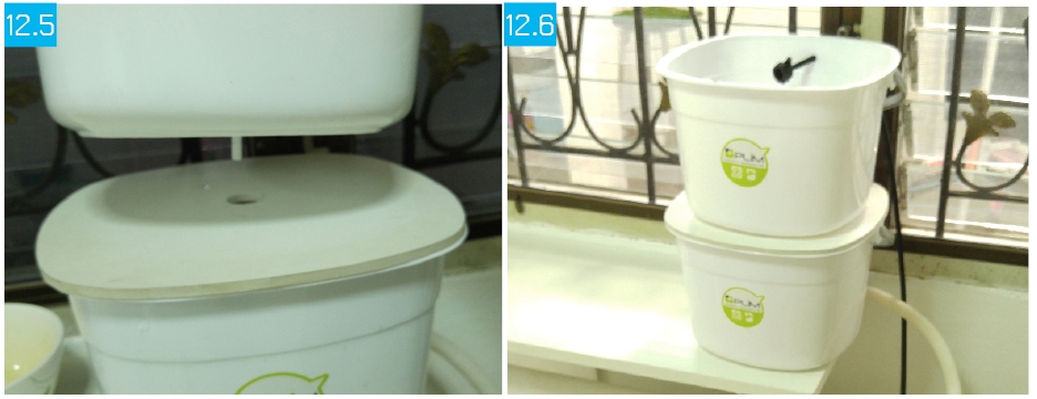 beansprout-step-010-2